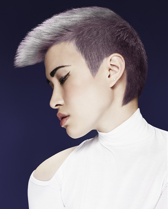 Francesco Group Short Grey Hairstyles